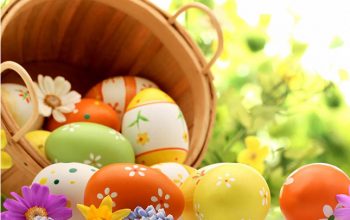 apertura2_menupasqua